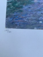 Giovan Francesco Gonzaga - Coppia Di Serigrafie Firmate - immagine 8