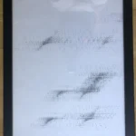 Gigliola Carretti - Multiplo ottico Dinamico - No Biasi Soto Costalonga