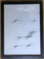 Gigliola Carretti - Multiplo ottico Dinamico - No Biasi Soto Costalonga