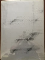 Gigliola Carretti - Multiplo ottico Dinamico - No Biasi Soto Costalonga - immagine 3