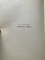 Renoir, Pittore Del Nudo. Prefazione Di Henri De Regnier. 40 Tavole. 1923 - immagine 6