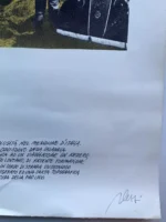 Fabrizio Plessi - Litografia - immagine 4