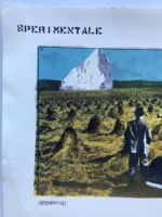 Fabrizio Plessi - Litografia - immagine 6