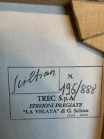 Gregorio Sciltian - Multiplo su Tela - La Velata - immagine 9